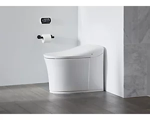 Toilet Installation HT Strenger Plumbing Services and Plumbing accessories - Toilet Plumber Near You