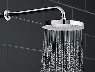 Shower Accessories Bathtub HT Strenger Plumbing Services and Plumbing Sales Lake Forest Libertyville Lake Bluff