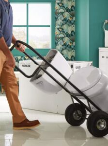 We will take away your Old Toilet.